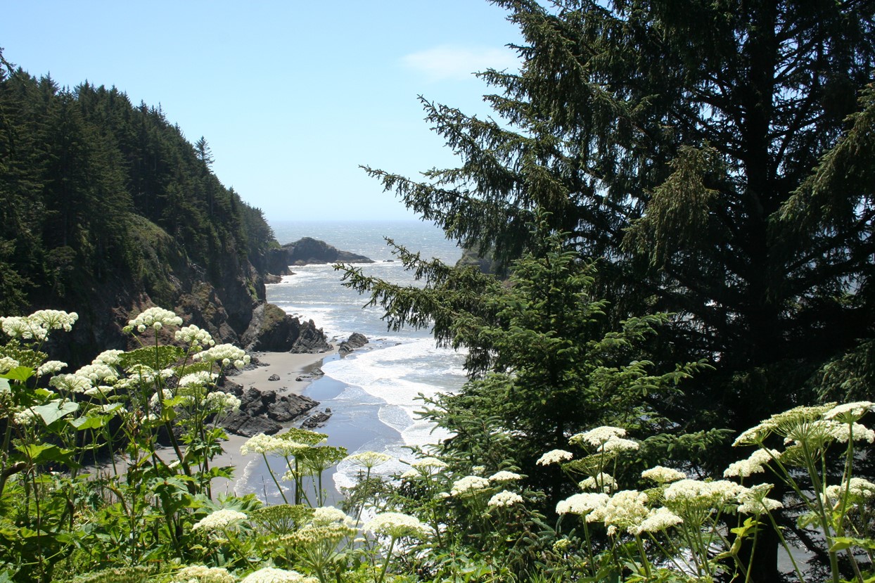 Oregon Peaks, Pines and Pinot